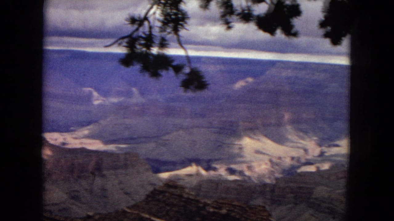 1967 8mm home-movie frame showing a broad Grand Canyon panorama in Arizona, with layered canyon walls seen between dark tree trunks and pine branches.