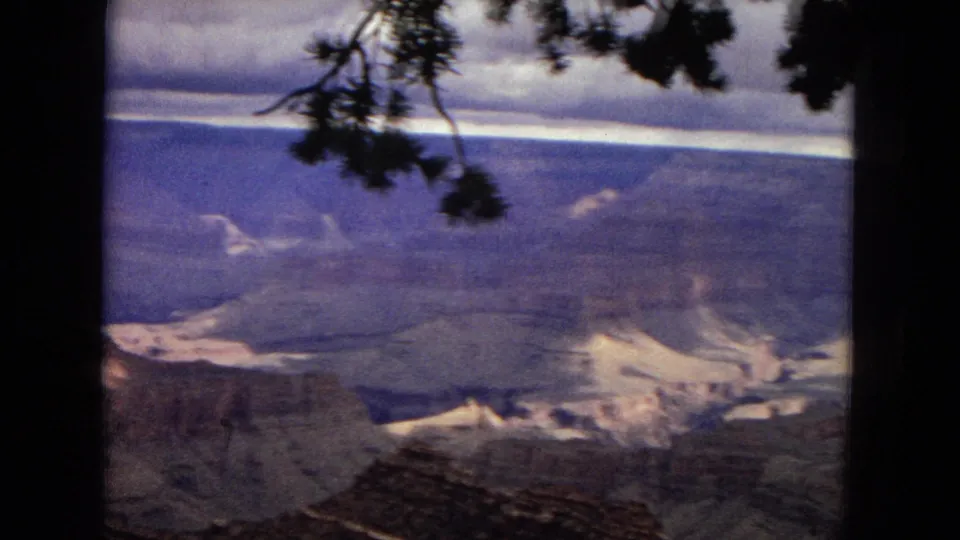 1967 8mm home-movie frame showing a broad Grand Canyon panorama in Arizona, with layered canyon walls seen between dark tree trunks and pine branches.