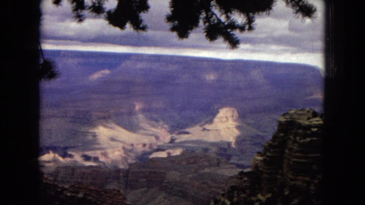 Wide canyon panorama with pine branches at the top and a dark tree trunk near center.