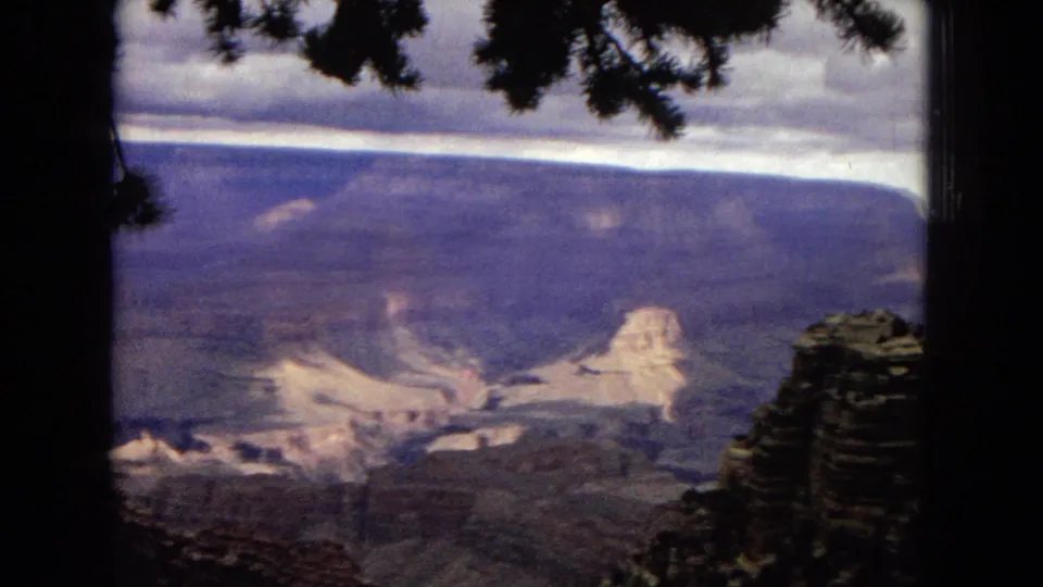 1967 Arizona travel footage frame with the Grand Canyon stretching across the background, partially divided by a dark foreground tree trunk and overhanging pine branches.