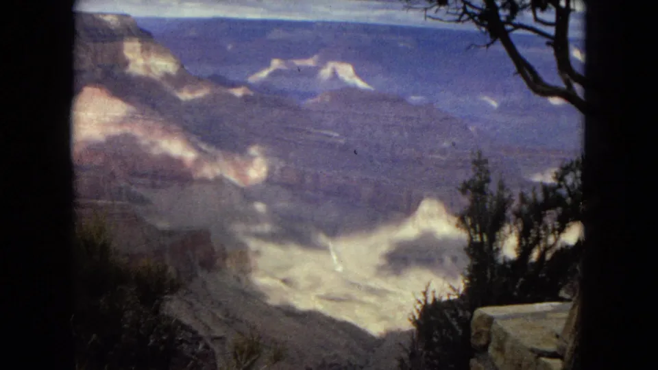 1967 8mm home-movie view of Grand Canyon rock layers and distant mesas framed by dark tree trunks, shrubs, and an overcast sky.