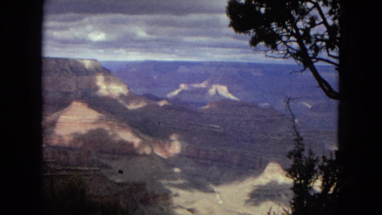 1967 8mm view across Grand Canyon ridges and pale rock formations, with silhouetted branches and shrubs at the edge of the overlook.