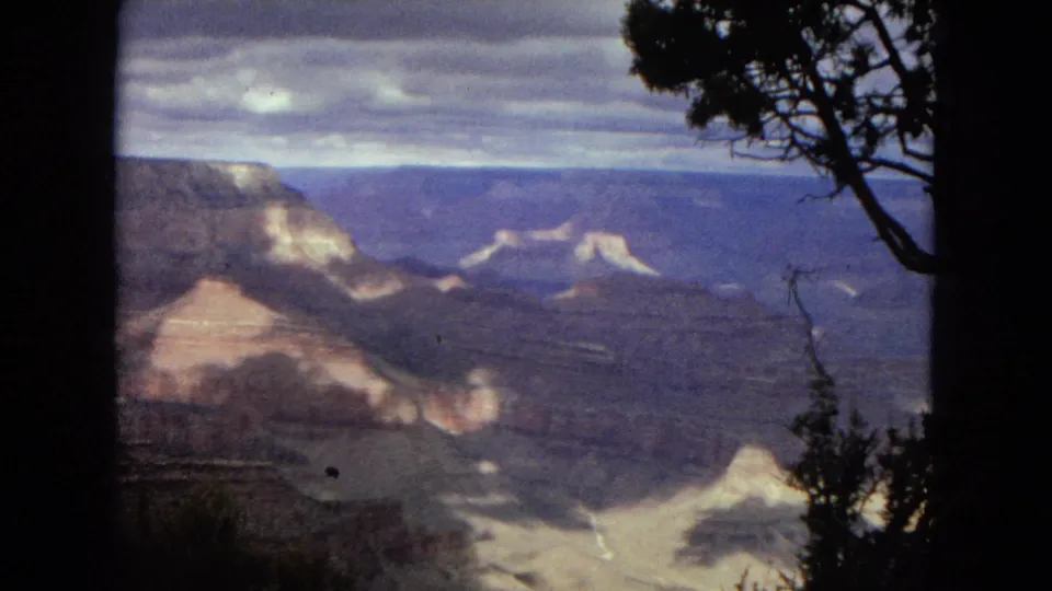 1967 8mm view across Grand Canyon ridges and pale rock formations, with silhouetted branches and shrubs at the edge of the overlook.