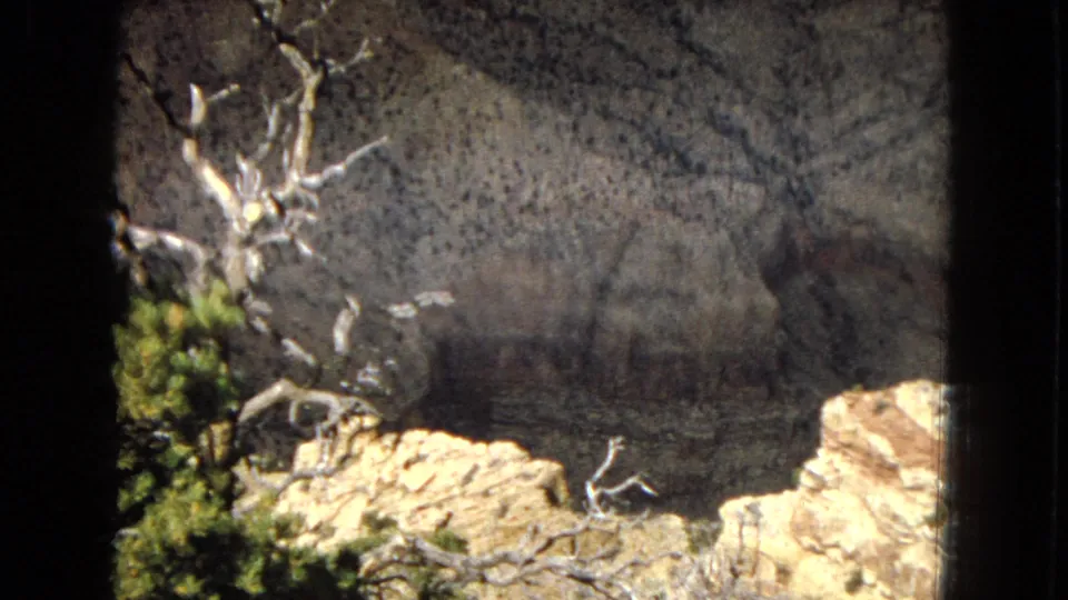 1967 8mm home-movie frame of a Grand Canyon overlook area, with pale dead branches, green shrubs, sunlit rocks, and a steep canyon wall in the background.
