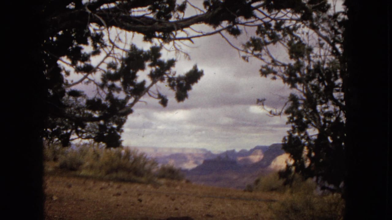 1967 scenic overlook footage showing distant canyon-colored mountains framed by tree branches and scrub in the foreground.