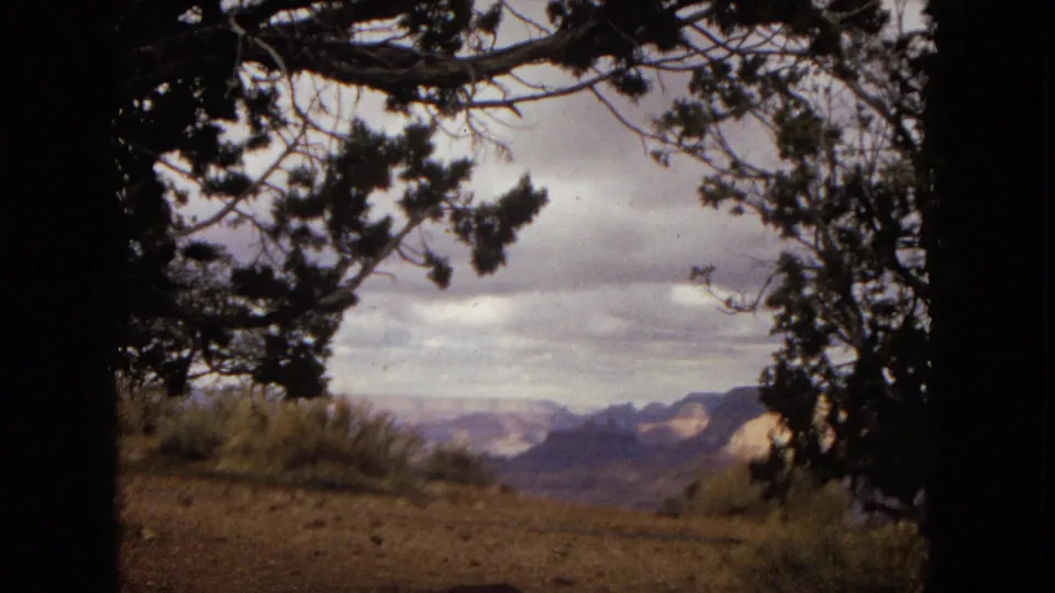 1967 scenic overlook footage showing distant canyon-colored mountains framed by tree branches and scrub in the foreground.