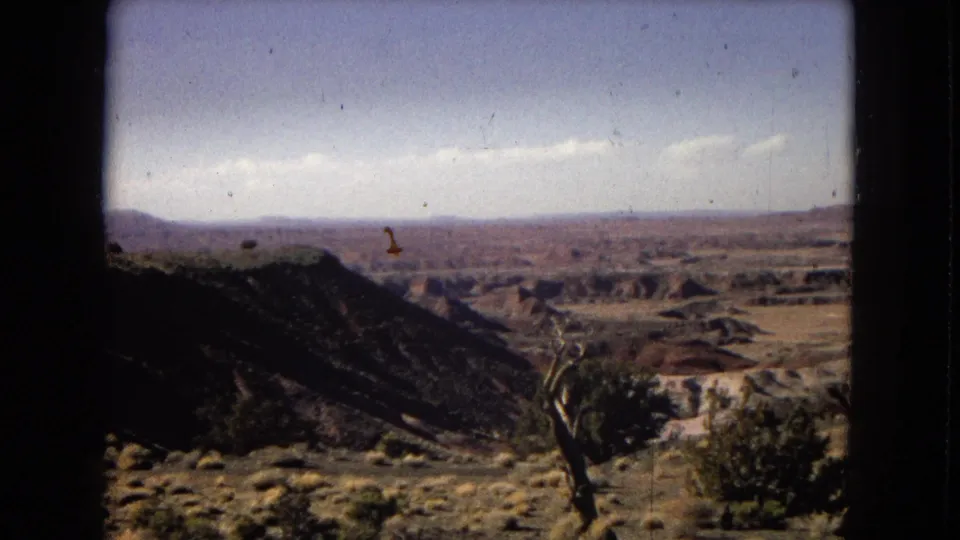 1967 Arizona 8mm travel frame showing open arid terrain, scattered shrubs, a small tree, distant low hills, and a dark window or film-frame border.