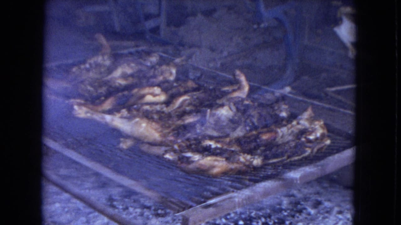 1967 home-movie frame showing whole chickens or large poultry pieces cooking on an outdoor metal grill, with smoke and a blue-tinted 8mm film look.