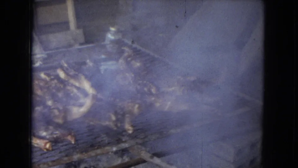 A smoke-heavy 8mm frame shows poultry partly hidden on the grill, with the rustic cooking structure fading into the haze.