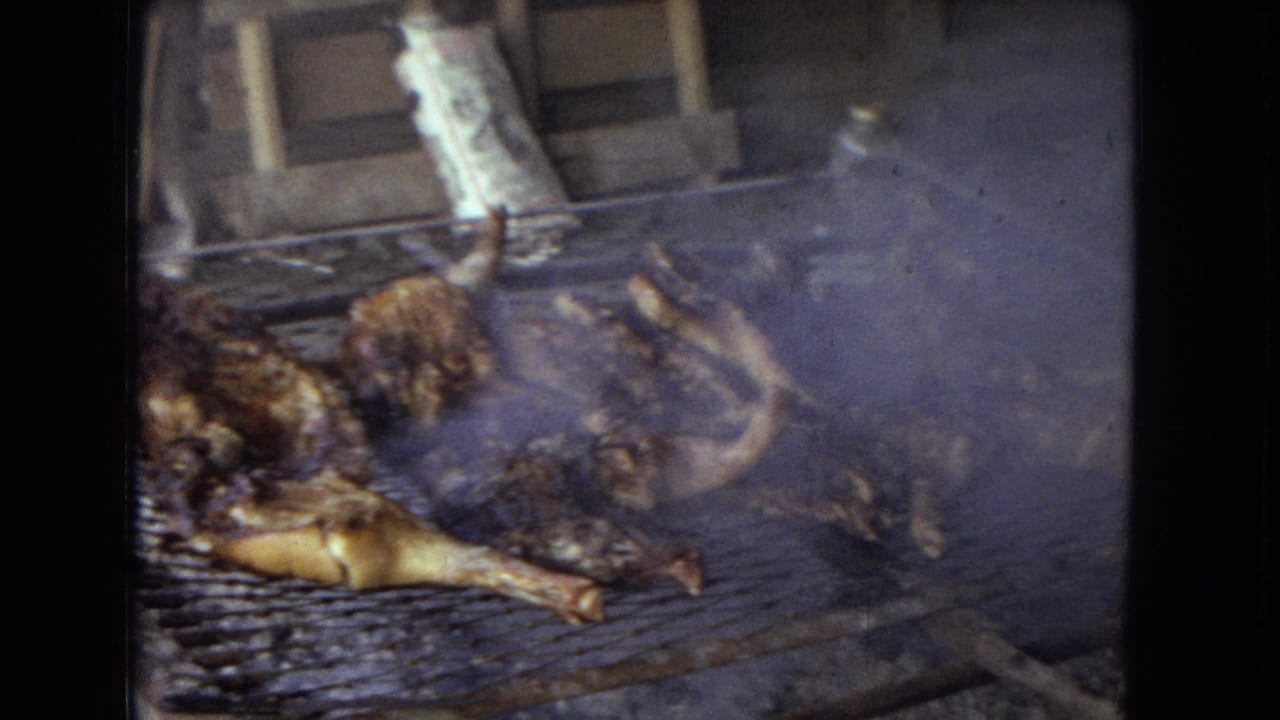 Whole chickens roast over smoky coals on a metal grill in 1967 8mm home-movie footage from the United States.