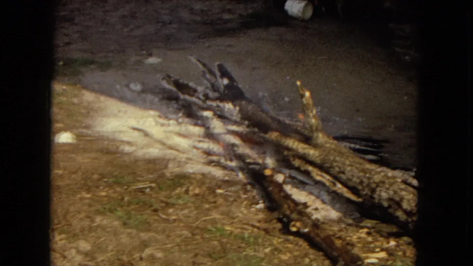 A close view shows weathered logs and branches scattered on dirt near a shallow wet area, continuing the outdoor rural setting from the preceding group portrait.