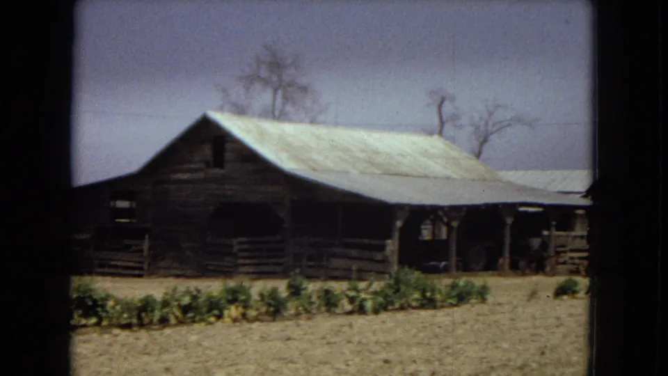 A rustic farmhouse or outbuilding with a pale metal roof sits behind a dry yard, low plantings, fencing, and bare trees in a rural exterior view.