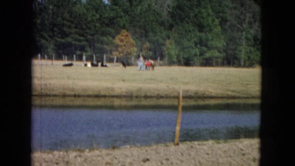 The camera frames a pond with a grassy bank, distant animals in the field, several small human figures, and pine trees in the background.