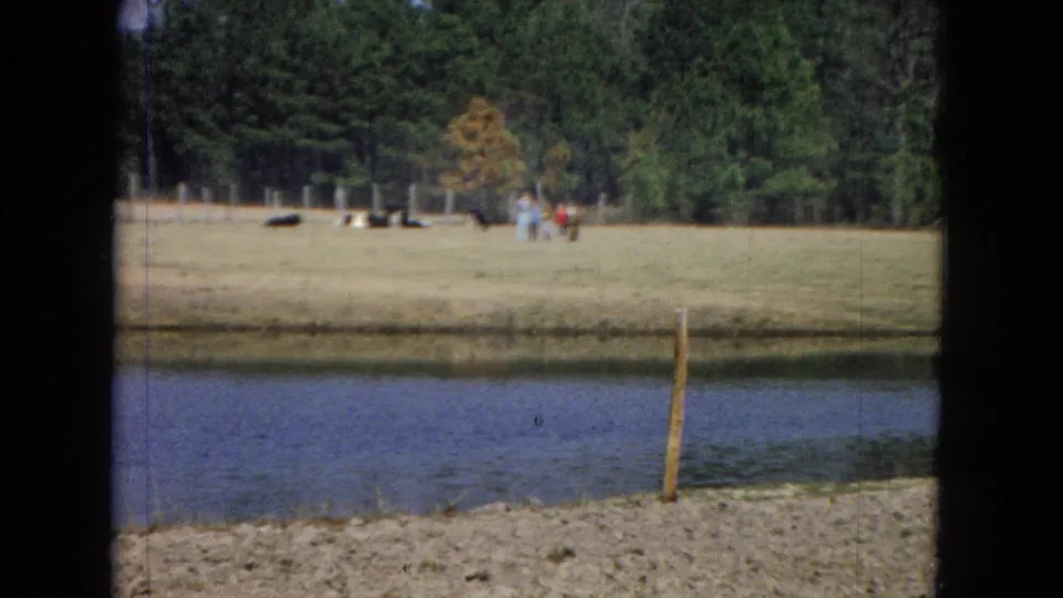 A rural pond and bank lead to a grassy field with distant animals and people near a tree line, filmed in soft 8mm home-movie color.
