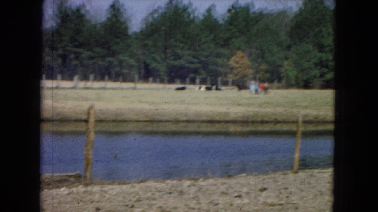 1967 8mm home-movie frame from the United States showing a pond, simple fence posts, dry foreground ground, distant cattle, and a pine treeline viewed through dark structural edges.