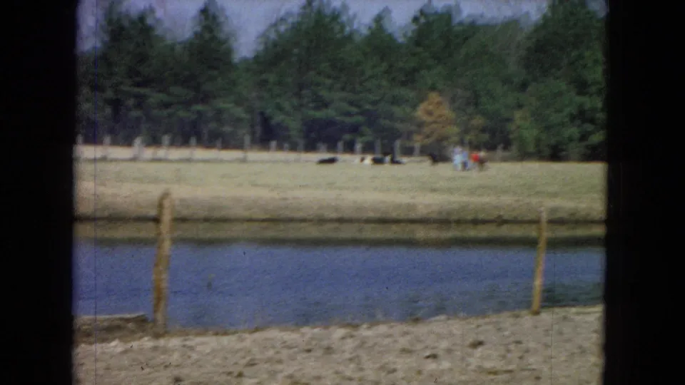 1967 8mm home-movie frame from the United States showing a pond, simple fence posts, dry foreground ground, distant cattle, and a pine treeline viewed through dark structural edges.