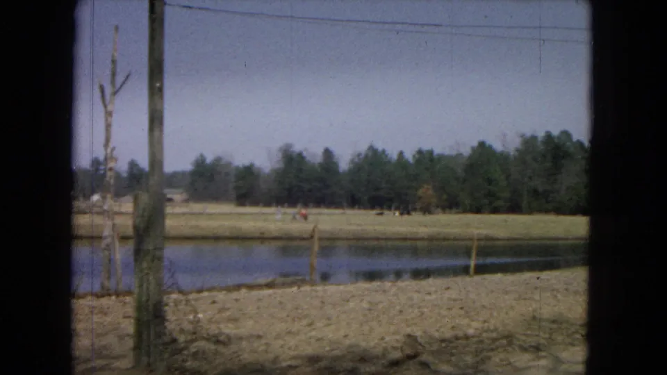 1967 United States home-movie frame showing a pond, dry bank, fence posts, distant people and cattle in open pasture, a pine treeline, and a vertical pole near the camera.
