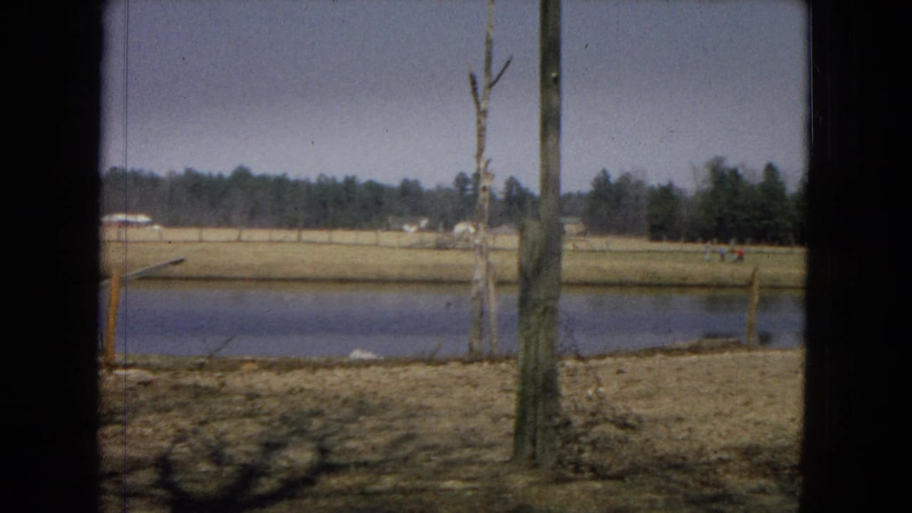 Rural pond and field with wooden posts, a bare tree, distant trees, and tiny figures near the far right.