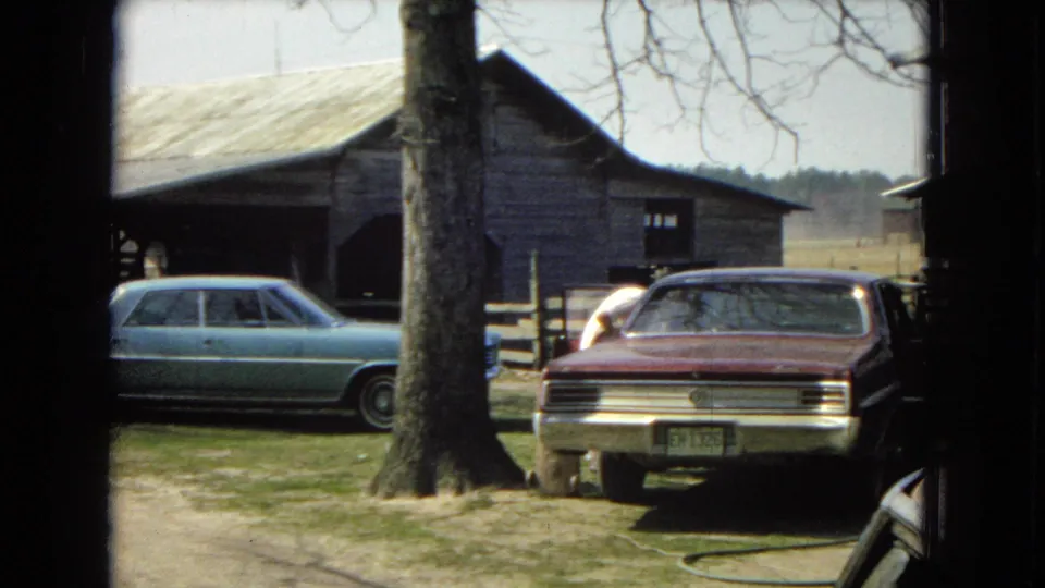 A pale blue sedan and a darker rear-facing car are parked near a large tree and weathered outbuilding in a rural yard or driveway.