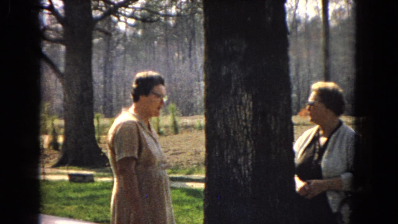 Two women face each other outdoors between tree trunks in a sunny landscaped area.