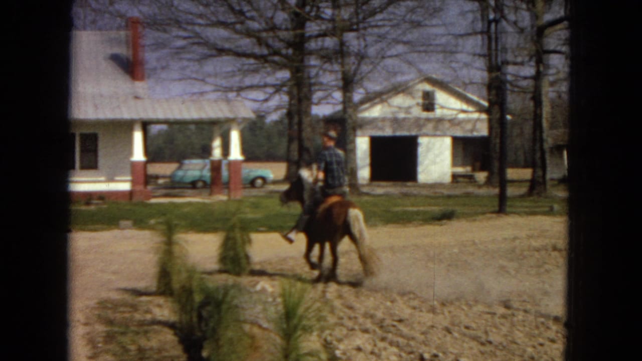 Horse and rider pass in front of a white farmhouse with a blue car nearby.