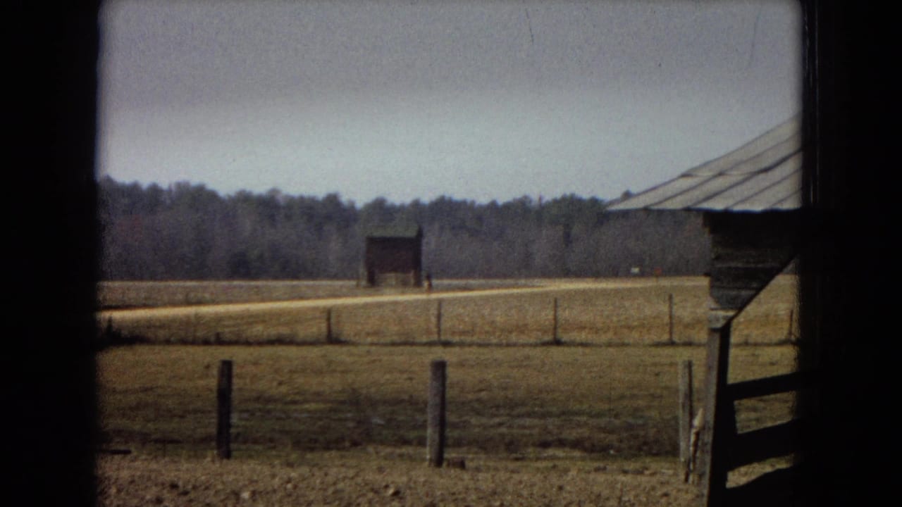 1967 archival 8mm home-movie frame looking from shade toward an open rural field, fence posts, a pale road, treeline, and a small distant barn.
