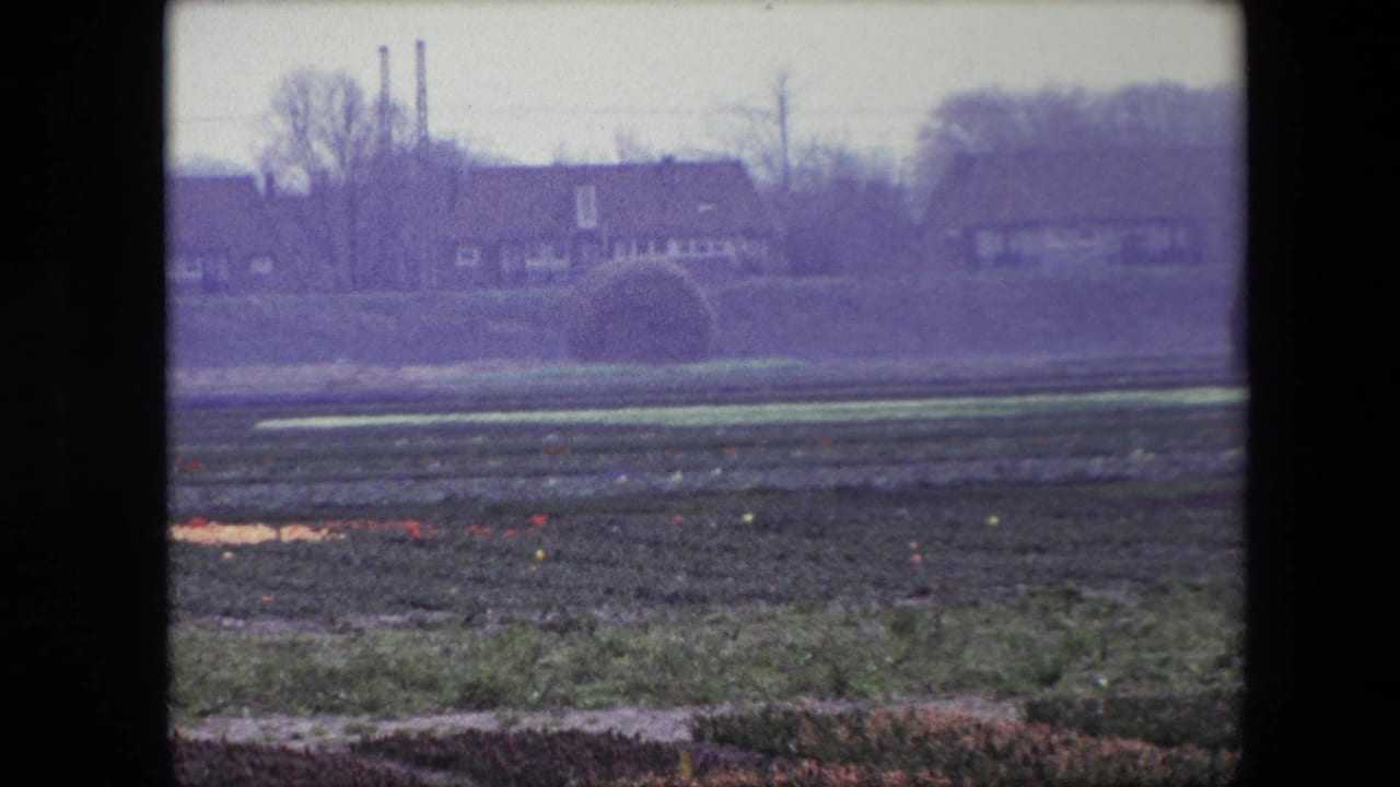 1967 Brussels-area 8mm frame showing a dark cultivated field, pale green crop bands, distant houses, bare trees, and a hazy overcast sky.