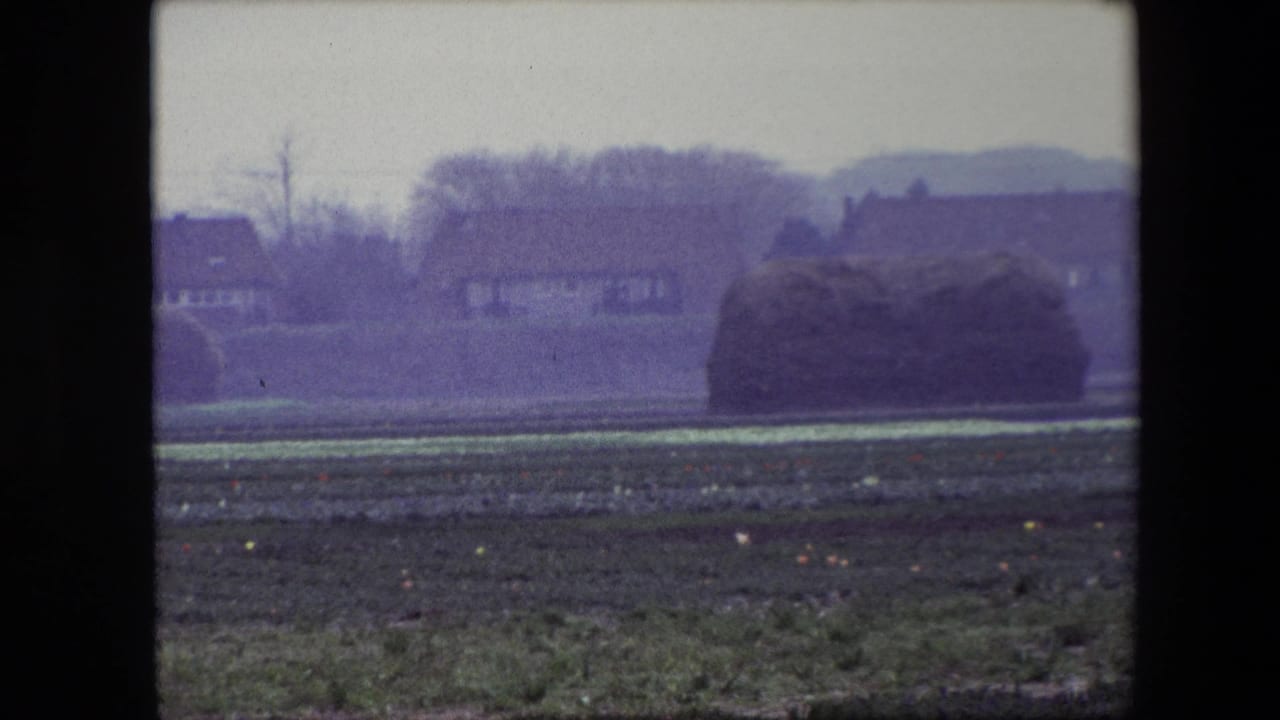 1967 Brussels-area 8mm frame showing a large hay bale set in a cultivated field, with distant houses, trees, and low hills softened by film haze.