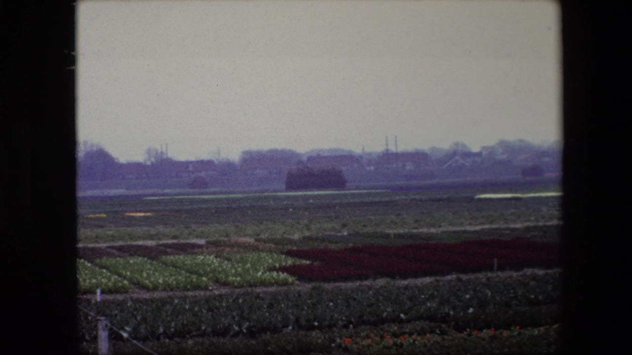 1967 Brussels-area 8mm frame showing flat cultivated fields, muted green and dark red crop rows, distant trees and buildings, and dark film borders.