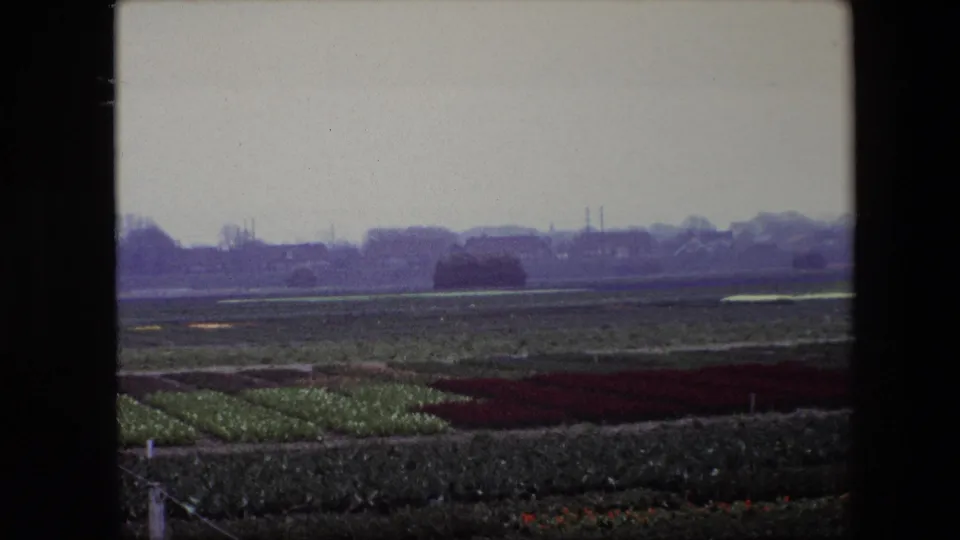 1967 Brussels-area 8mm frame showing flat cultivated fields, muted green and dark red crop rows, distant trees and buildings, and dark film borders.