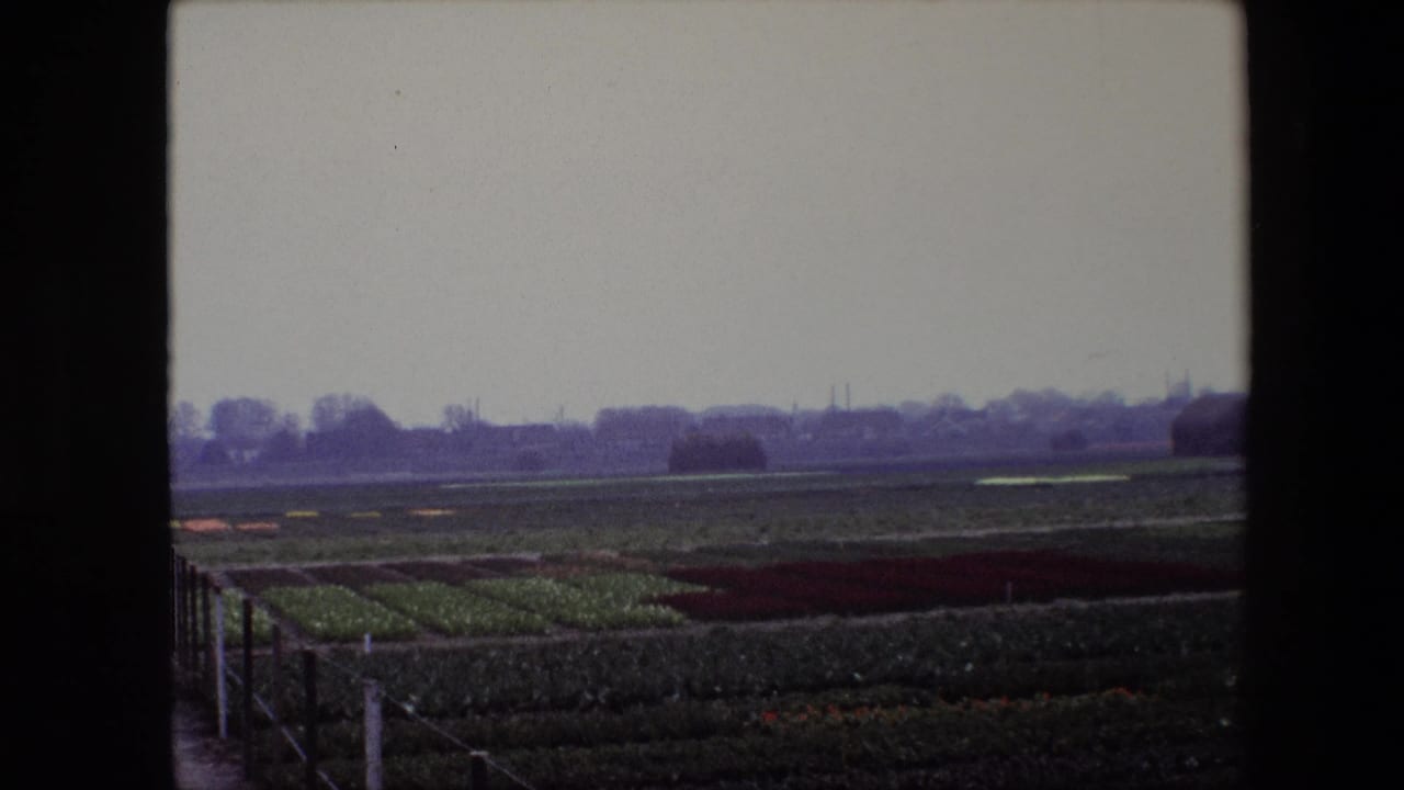 Flat fields and distant trees seen beyond a fence line.