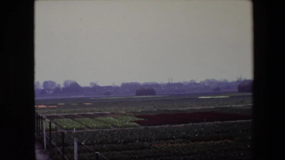 1967 Brussels-area 8mm frame with a fence at the left edge, rows of cultivated crops, distant low buildings, tree silhouettes, and an overcast sky.
