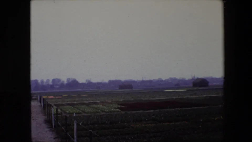 1967 Brussels-area 8mm frame showing a narrow dirt path along fenced crop fields, dark red planting rows, distant trees, and soft grey sky.