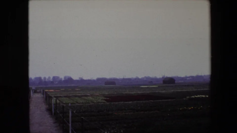 1967 Brussels-area 8mm frame with a wide view across cultivated fields, a left-side path and fence, distant buildings and trees, and heavy grey sky.