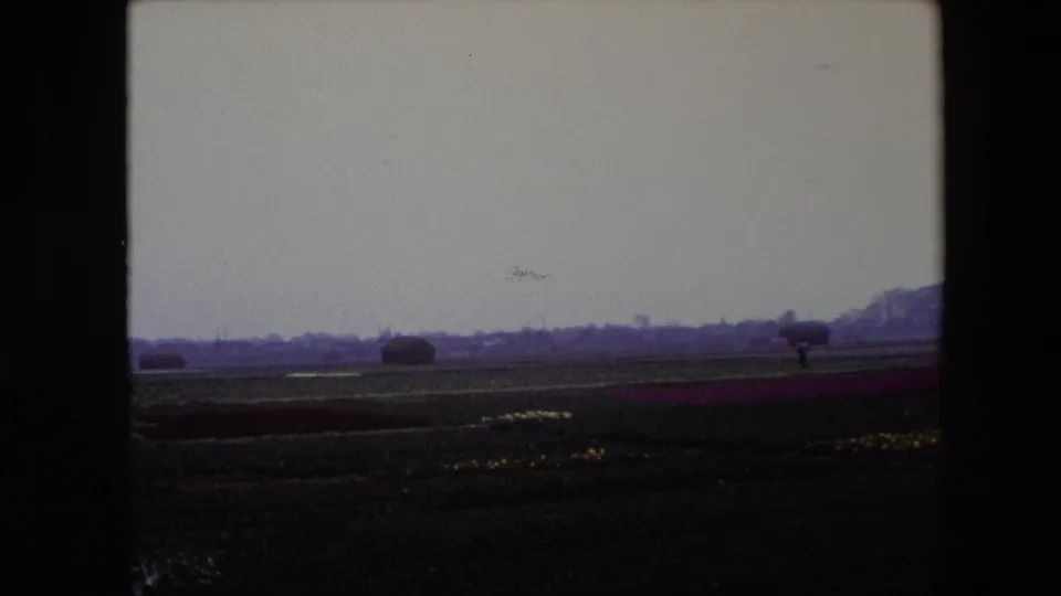 Brussels-area 1967 8mm frame showing low flower beds and a small distant figure walking across the field beneath a pale sky.