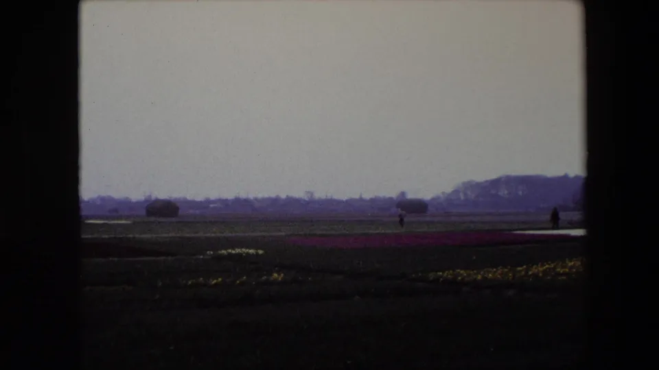 1967 8mm view near Brussels with low flower plots, distant walkers, a tree line at right, and muted color from the scanned home-movie film.