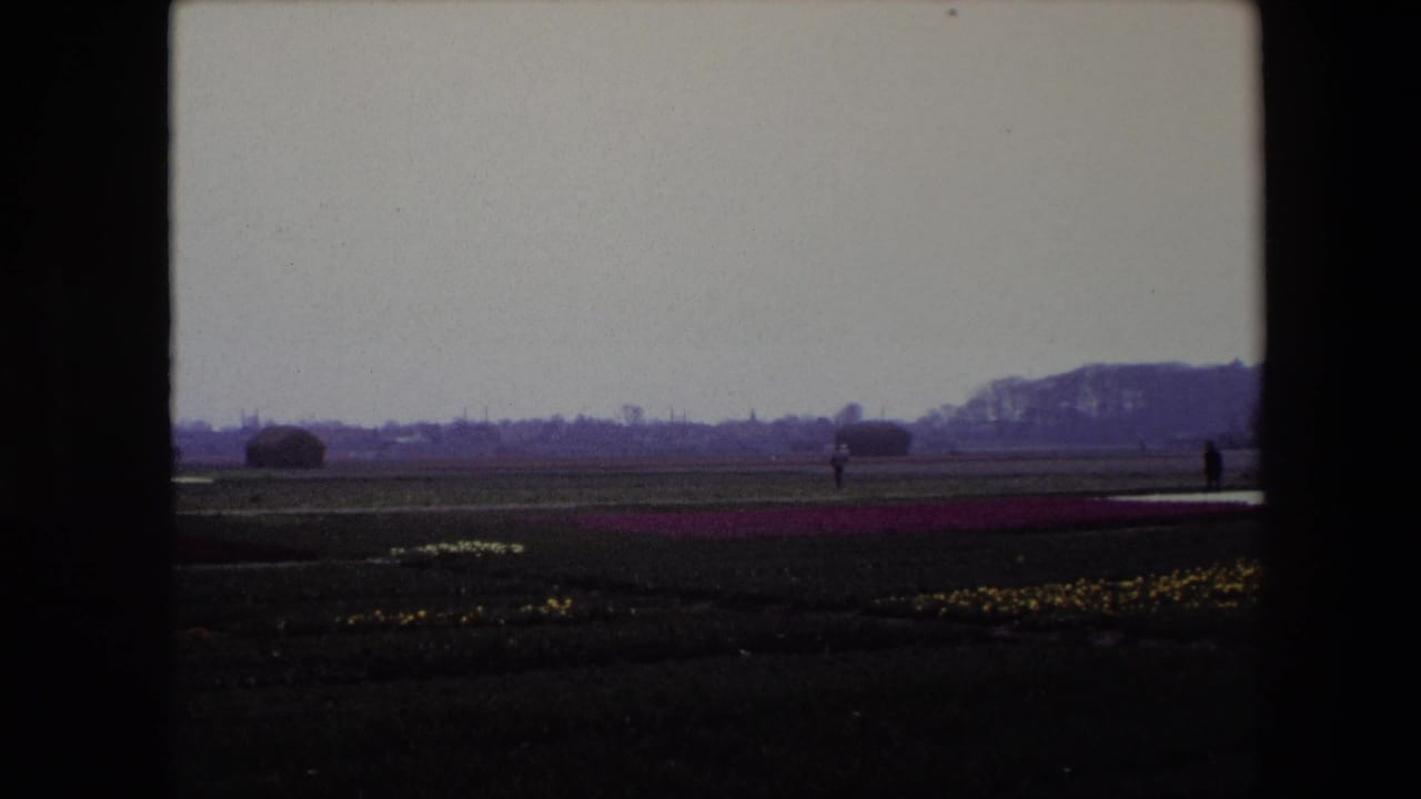 1967 Brussels-area home-movie frame showing rows of flowers across a flat field with a small distant person walking near the horizon under an overcast sky.