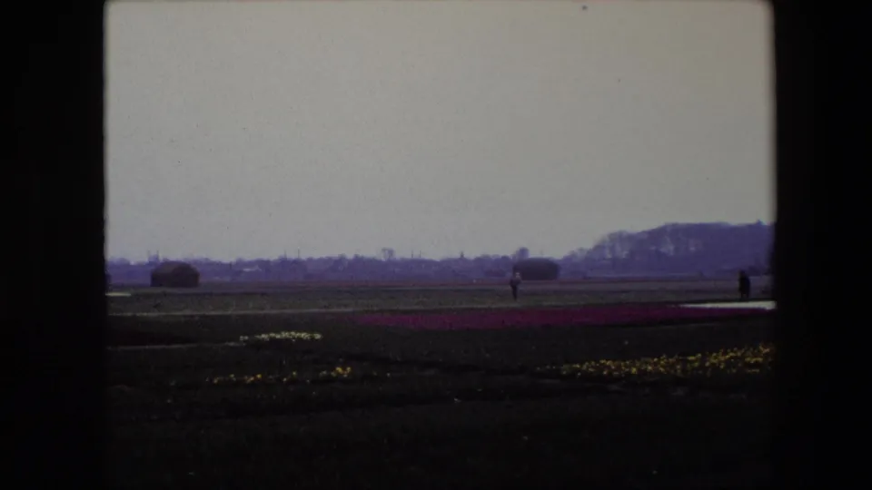 1967 Brussels-area home-movie frame showing rows of flowers across a flat field with a small distant person walking near the horizon under an overcast sky.