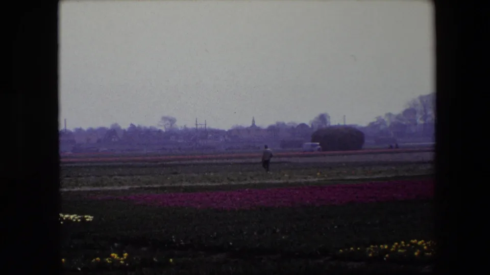 The final frame shows a distant person among rows of flowers in the Brussels-area landscape, with low trees, faint structures, and soft faded 8mm color.