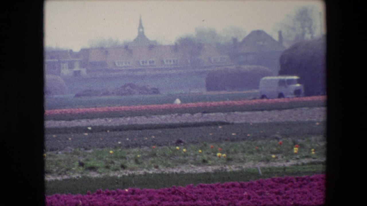 1967 Brussels-area home-movie frame with tulip beds, a white van crossing the middle distance, low buildings, and a spire visible through haze.