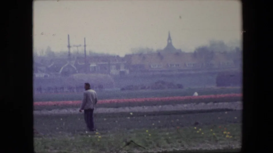 1967 Brussels-area 8mm frame showing a lone adult man in a light jacket standing among tulip fields with utility poles, buildings, and a distant spire behind him.