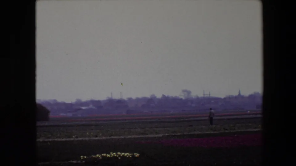 1967 Brussels-area 8mm frame showing a lone distant figure in a wide cultivated field, with low flower rows, a dark building edge, trees, rooftops, and a church steeple on the horizon.