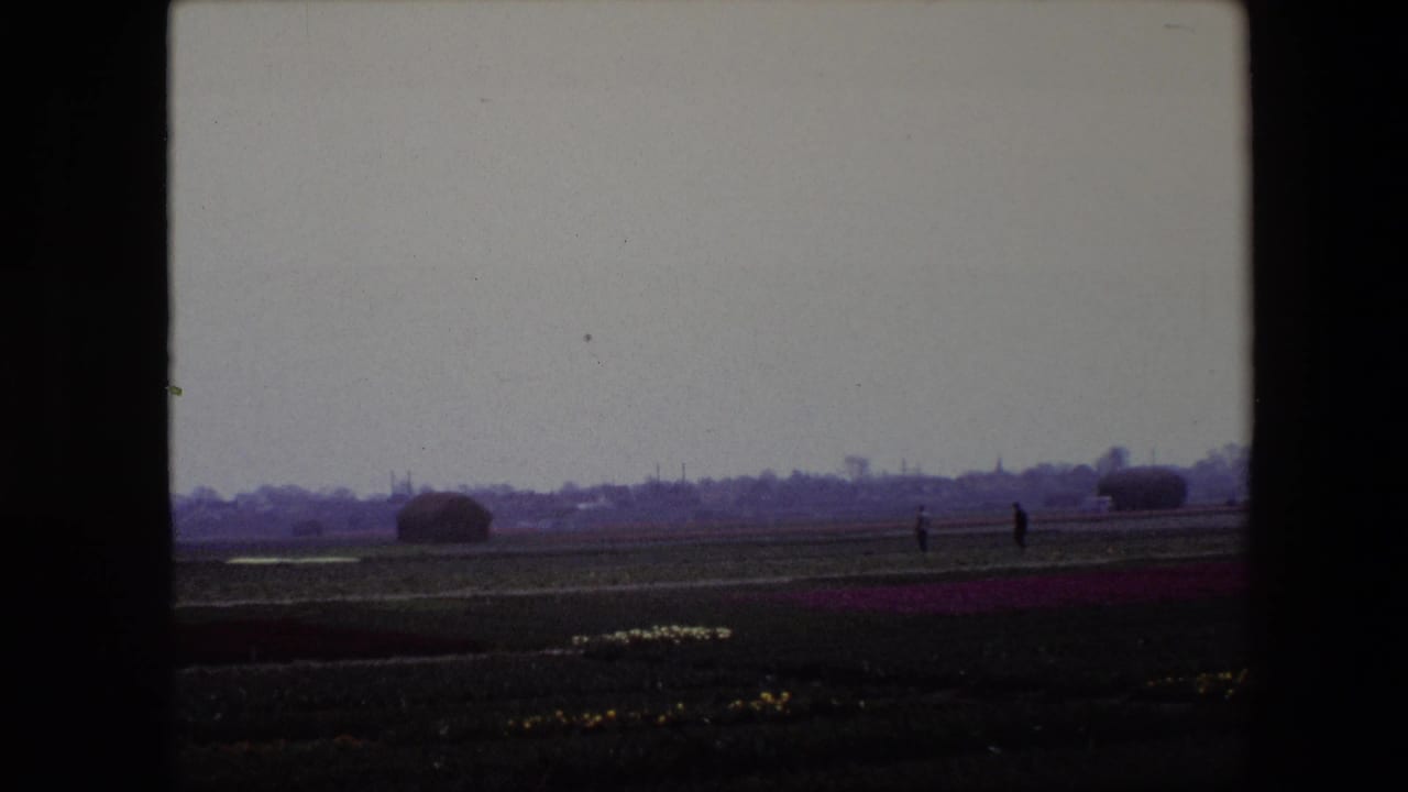 1967 Brussels 8mm frame with a broad cultivated field, purple flower band, two small distant people, and low shapes along the horizon under a heavy gray sky.
