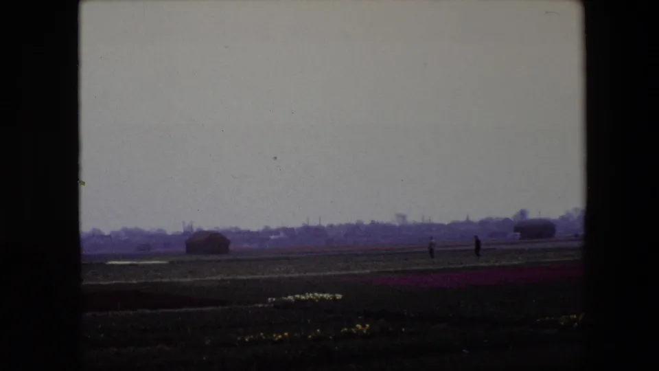 1967 Brussels 8mm frame with a broad cultivated field, purple flower band, two small distant people, and low shapes along the horizon under a heavy gray sky.