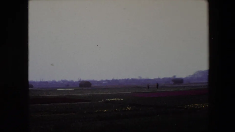 1967 Brussels home-movie still showing a low agricultural landscape with flower rows, yellow patches in the foreground, two distant figures, and a pale gray sky.