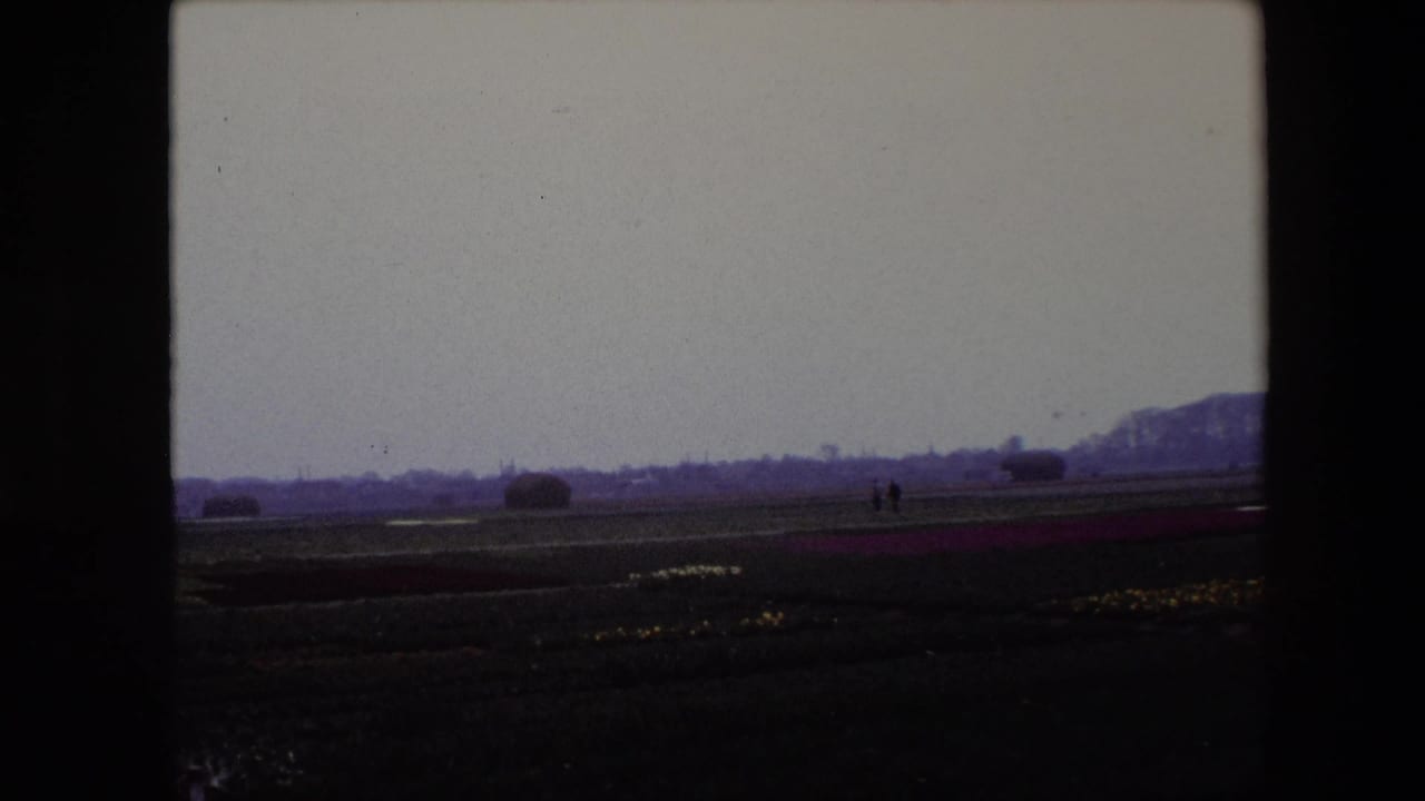 1967 Brussels, Belgium home-movie frame showing broad tulip fields beneath an overcast sky, with small distant figures and dark 8mm frame edges.