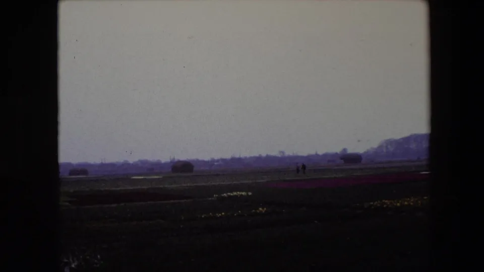 1967 Brussels, Belgium home-movie frame showing broad tulip fields beneath an overcast sky, with small distant figures and dark 8mm frame edges.