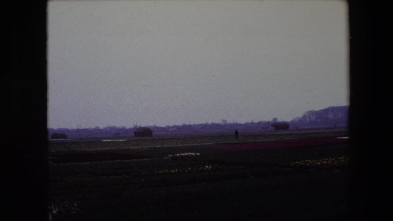 Wide 1967 Brussels, Belgium frame of tulip fields and low horizon, with tiny human figures visible against the distant landscape.