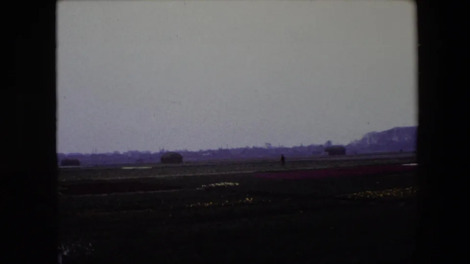Wide 1967 Brussels, Belgium frame of tulip fields and low horizon, with tiny human figures visible against the distant landscape.