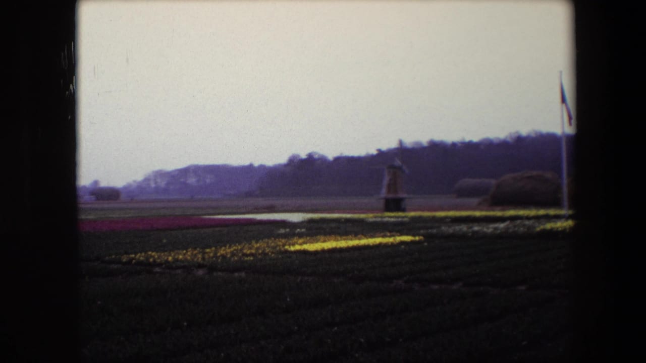 1967 Brussels-area 8mm frame showing rows of flowers, a small distant windmill, and a tall flagpole against wooded hills under a pale sky.